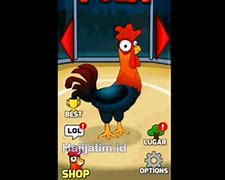 Nama Game Ayam Bertarung Android Apk